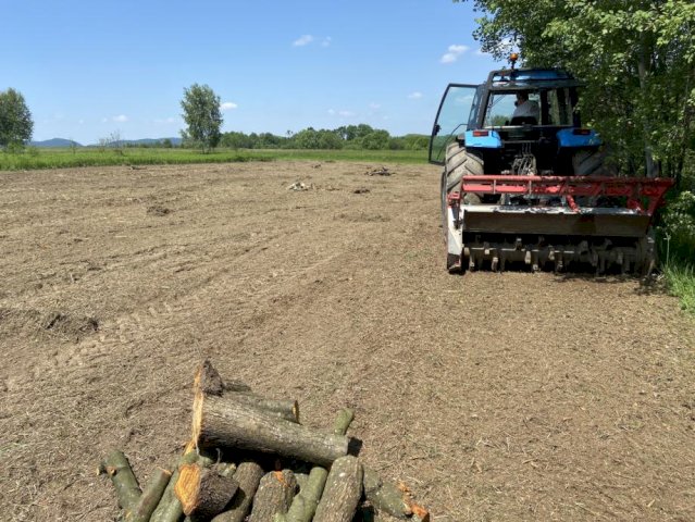 Šumski malčer Ventura