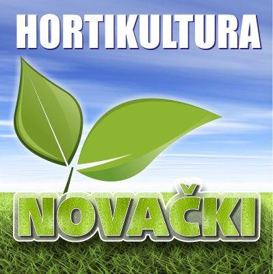 ZELENE OGRADE vrt ,okućnica ,uređenje,ograda ze
