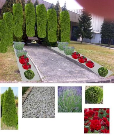 ZELENE OGRADE vrt ,okućnica ,uređenje,ograda ze
